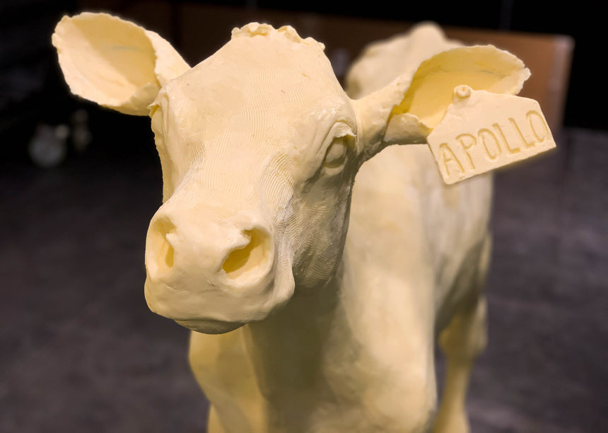 Butter Cow