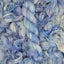 Appalachian Violet