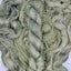 Fiddlehead Ferns