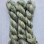 Fiddlehead Ferns
