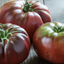 Brandywine Tomato