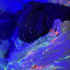 Funfetti & Party in the Dark!