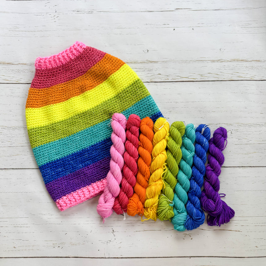 Pride Goose Sweater Mini Skein Set