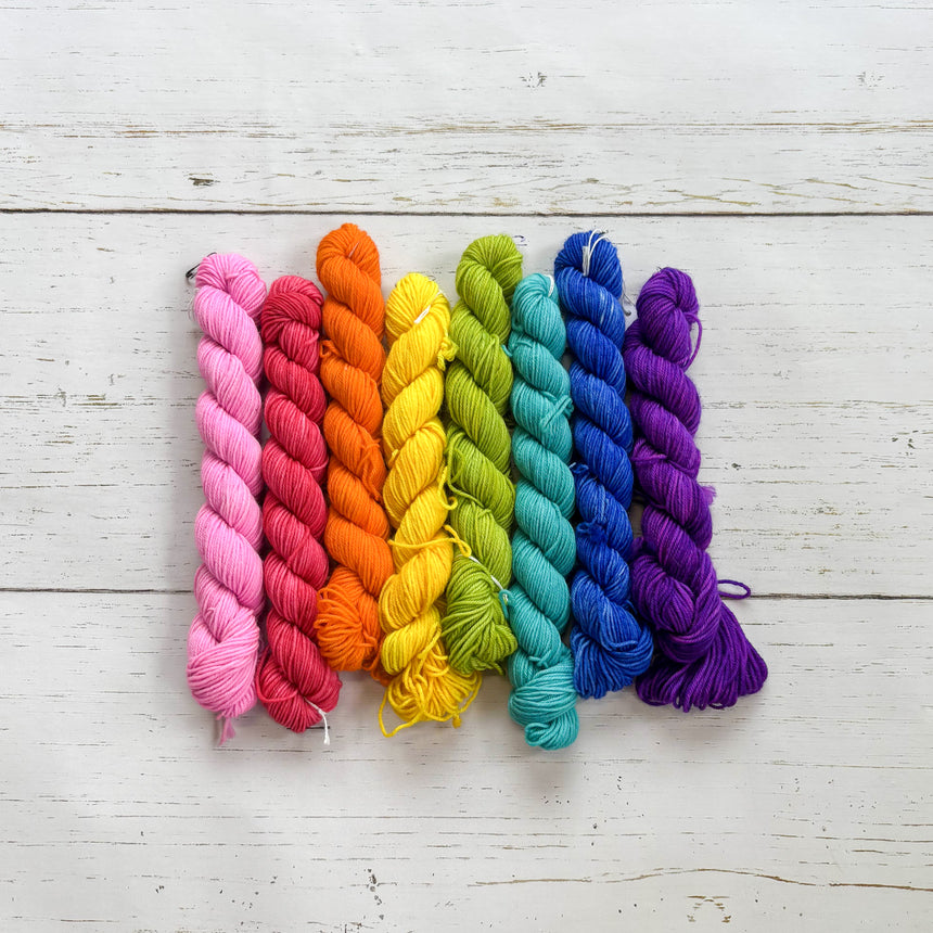 Pride Goose Sweater Mini Skein Set