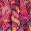 Coat of Many Colors