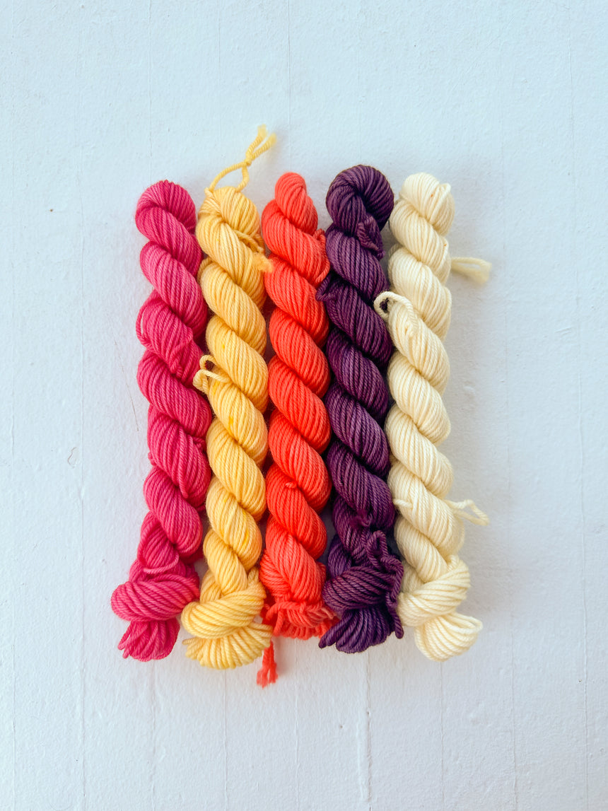 Rainbow Carrots Mini Skein Set