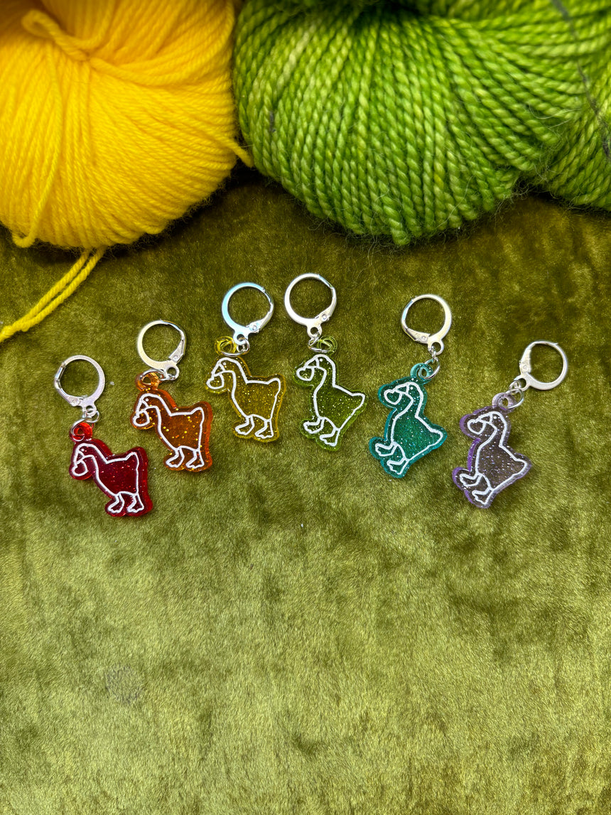 Rainbow Chester Stitch Markers