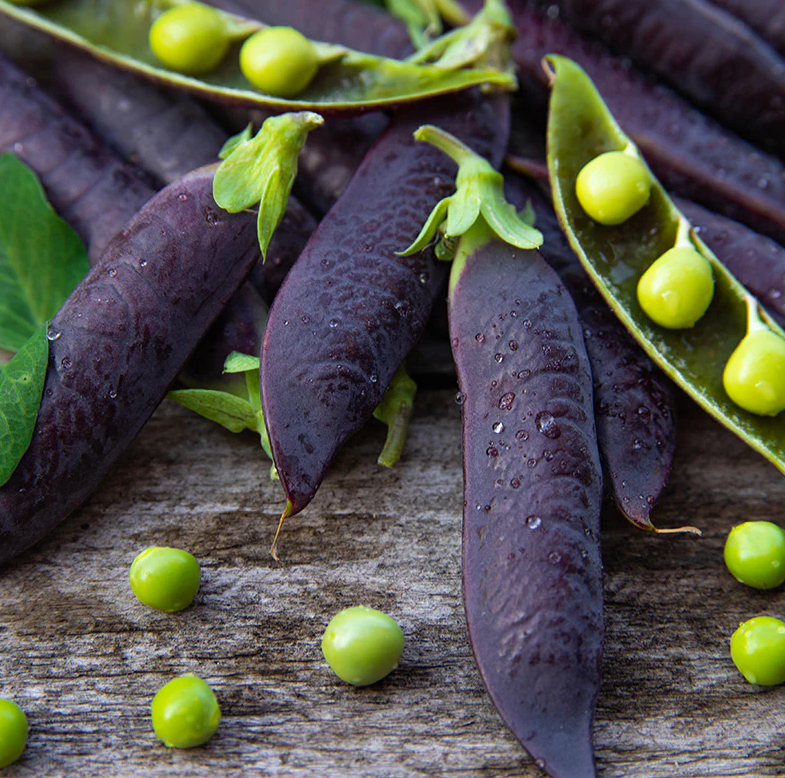 Purple Podded Peas