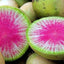 Watermelon Radish