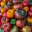 Tomato Festival